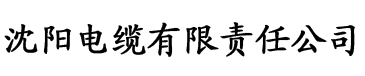 欧美熟妇brazzers电缆厂logo